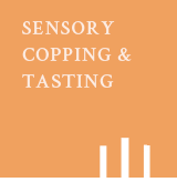 ������Ŀ�� ���͸�